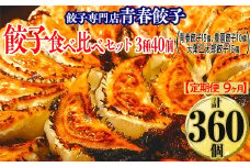 【定期便9ヶ月】餃子専門店青春餃子 餃子食べ比べセット 3種40個（青春餃子15個、豊岡餃子10個、大葉三太郎餃子15個）（計360個）