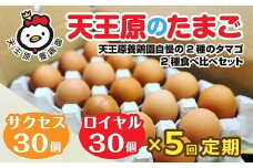【定期便】5回定期【天王原のたまご】 サクセス卵30個/ロイヤル卵30個 【5回定期便 セット たまご 卵 玉子 タマゴ 濃厚 食べ比べ ハリ 弾力 ボリューム 甘味 旨味 卵黄 風味 生 コク 甘味 卵かけご飯 卵焼き 目玉焼き オムレツ 茶碗蒸し お菓子作り パンの材料】