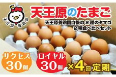 【定期便】4回定期【天王原のたまご】 サクセス卵30個/ロイヤル卵30個 【4回定期便 セット たまご 卵 玉子 タマゴ 濃厚 食べ比べ ハリ 弾力 ボリューム 甘味 旨味 卵黄 風味 生 コク 甘味 卵かけご飯 卵焼き 目玉焼き オムレツ 茶碗蒸し お菓子作り パンの材料】