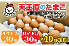 【定期便】10回定期【天王原のたまご】 サクセス卵30個/ロイヤル卵30個 【10回定期便 セット たまご 卵 玉子 タマゴ 濃厚 食べ比べ ハリ 弾力 ボリューム 甘味 旨味 卵黄 風味 生 コク 甘味 卵かけご飯 卵焼き 目玉焼き オムレツ 茶碗蒸し お菓子作り パンの材料】