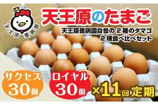 【定期便】11回定期【天王原のたまご】 サクセス卵30個/ロイヤル卵30個 【11回定期便 セット たまご 卵 玉子 タマゴ 濃厚 食べ比べ ハリ 弾力 ボリューム 甘味 旨味 卵黄 風味 生 コク 甘味 卵かけご飯 卵焼き 目玉焼き オムレツ 茶碗蒸し お菓子作り パンの材料】