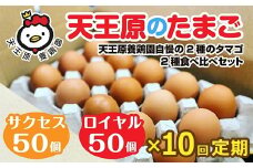 【定期便】10回定期 【天王原のたまご】 サクセス卵50個/ロイヤル卵50個【定期便 10回定期便 セット たまご 卵 玉子 タマゴ 濃厚  ハリ 弾力 ボリューム 甘味 旨味 卵黄 風味 生 コク 甘味 卵かけご飯 卵焼き 目玉焼き オムレツ 茶碗蒸し お菓子作り パンの材料】