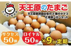 【定期便】9回定期 【天王原のたまご】 サクセス卵50個/ロイヤル卵50個【定期便 9回定期便 セット たまご 卵 玉子 タマゴ 濃厚  ハリ 弾力 ボリューム 甘味 旨味 卵黄 風味 生 コク 甘味 卵かけご飯 卵焼き 目玉焼き オムレツ 茶碗蒸し お菓子作り パンの材料】