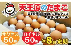 【定期便】8回定期 【天王原のたまご】 サクセス卵50個/ロイヤル卵50個【定期便 8回定期便 セット たまご 卵 玉子 タマゴ 濃厚  ハリ 弾力 ボリューム 甘味 旨味 卵黄 風味 生 コク 甘味 卵かけご飯 卵焼き 目玉焼き オムレツ 茶碗蒸し お菓子作り パンの材料】