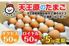 【定期便】5回定期 【天王原のたまご】 サクセス卵50個/ロイヤル卵50個【定期便 5回定期便 セット たまご 卵 玉子 タマゴ 濃厚  ハリ 弾力 ボリューム 甘味 旨味 卵黄 風味 生 コク 甘味 卵かけご飯 卵焼き 目玉焼き オムレツ 茶碗蒸し お菓子作り パンの材料】