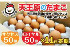 【定期便】11回定期 【天王原のたまご】 サクセス卵50個/ロイヤル卵50個【定期便 11回定期便 セット たまご 卵 玉子 タマゴ 濃厚  ハリ 弾力 ボリューム 甘味 旨味 卵黄 風味 生 コク 甘味 卵かけご飯 卵焼き 目玉焼き オムレツ 茶碗蒸し お菓子作り パンの材料】