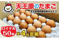 【定期便】4回定期 【天王原のたまご】 ロイヤル卵50個入り【定期便 4回定期便 セット たまご 卵 玉子 タマゴ 濃厚  ハリ 弾力 ボリューム 甘味 旨味 卵黄 風味 生 コク 甘味 卵かけご飯 卵焼き 目玉焼き オムレツ 茶碗蒸し お菓子作り パンの材料】