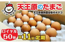 【定期便】11回定期 【天王原のたまご】 ロイヤル卵50個入り【定期便 11回定期便 セット たまご 卵 玉子 タマゴ 濃厚  ハリ 弾力 ボリューム 甘味 旨味 卵黄 風味 生 コク 甘味 卵かけご飯 卵焼き 目玉焼き オムレツ 茶碗蒸し お菓子作り パンの材料】