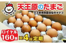 【定期便】4回定期 【天王原のたまご】 ロイヤル卵160個入り【定期便 4回定期便 セット たまご 卵 玉子 タマゴ 濃厚  ハリ 弾力 ボリューム 甘味 旨味 卵黄 風味 生 コク 甘味 卵かけご飯 卵焼き 目玉焼き オムレツ 茶碗蒸し お菓子作り パンの材料】