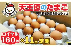 【定期便】11回定期 【天王原のたまご】 ロイヤル卵160個入り【定期便 11回定期便 セット たまご 卵 玉子 タマゴ 濃厚  ハリ 弾力 ボリューム 甘味 旨味 卵黄 風味 生 コク 甘味 卵かけご飯 卵焼き 目玉焼き オムレツ 茶碗蒸し お菓子作り パンの材料】