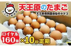 【定期便】10回定期 【天王原のたまご】 ロイヤル卵160個入り【定期便 10回定期便 セット たまご 卵 玉子 タマゴ 濃厚  ハリ 弾力 ボリューム 甘味 旨味 卵黄 風味 生 コク 甘味 卵かけご飯 卵焼き 目玉焼き オムレツ 茶碗蒸し お菓子作り パンの材料】