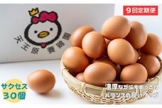 【定期便】 9回定期【天王原のたまご】 サクセス卵 30個入り 定期便 たまご 卵