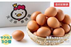 【定期便】 8回定期【天王原のたまご】 サクセス卵 30個入り 定期便 たまご 卵