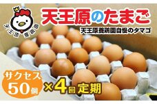 【定期便】4回定期 【天王原のたまご】 サクセス卵 50個入り 【定期便 4回定期便 セット たまご 卵 玉子 タマゴ 濃厚  ハリ 弾力 ボリューム 甘味 旨味 卵黄 風味 生 コク 甘味 卵かけご飯 卵焼き 目玉焼き オムレツ 茶碗蒸し お菓子作り パンの材料】