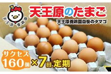 【定期便】7回定期 【天王原のたまご】 サクセス卵160個入り【定期便 7回定期便 セット たまご 卵 玉子 タマゴ 濃厚  ハリ 弾力 ボリューム 甘味 旨味 卵黄 風味 生 コク 甘味 卵かけご飯 卵焼き 目玉焼き オムレツ 茶碗蒸し お菓子作り パンの材料】