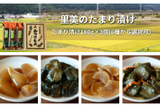 【漬物 種類指定可】地場産の野菜使用 里美のたまり漬け(180ｇ×3個/ 胡瓜たまり 辛入り胡瓜たまり 福里漬 大根たまり 楽京たまり ごまちゃん) | 茨城県 常陸太田市 お漬物 漬け物 つけもの 美味しい おいしい 地場産 野菜 胡瓜 大根 楽京 ごま 米 大豆 100% 手作り 贈答 贈り物 プレゼント お取り寄せ