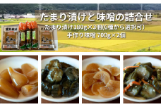【漬物 種類指定可】たまり漬け・茨城県産 手作り味噌(700g 2個)・ 地場産の野菜使用 里美のたまり漬け(180g 3個 / 胡瓜たまり 辛入り胡瓜たまり 福里漬 大根たまり 楽京たまり ごまちゃん) | 茨城県 常陸太田市 味噌 みそ ミソ お漬物 漬け物 つけもの 美味しい おいしい 地場産 野菜 胡瓜 大根 楽京 ごま 米 大豆 100% 手作り 贈答 贈り物 プレゼント お取り寄せ