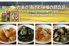 【漬物 種類指定可】茨城県産 手作り味噌（1kg1個）・ 地場産の野菜使用 里美のたまり漬け(180ｇ1個 / 胡瓜たまり 辛入り胡瓜たまり 福里漬 大根たまり 楽京たまり ごまちゃん） | 茨城県 常陸太田市 味噌 みそ ミソ お漬物 漬け物 つけもの 美味しい おいしい 地場産 野菜  胡瓜 大根 楽京 ごま 米 大豆 100% 手作り 箸休め 贈答 贈り物 プレゼント お取り寄せ