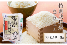 令和6年産 茨城県 常陸太田産 コシヒカリ5kg 特別栽培米 みずほちゃん　【常陸太田市 茨城県 良質米 森林 ミネラル 豊富 清らか 水 人気 】