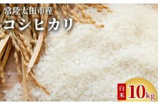 【2週間以内発送】コシヒカリ 令和6年産 茨城県 常陸太田市産 コシヒカリ（10kg）｜こしひかり 米どころ 茨城県産 常陸太田市 米 こめ コメ お取り寄せ 贈答 人気 ランキング ごはん 贈り物 10キロ 風味 甘い 米どころ】