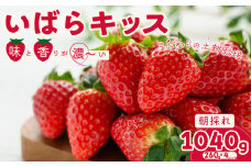 【2026年 先行予約】いちご いばらキッス 約260g×4パック | 苺 イチゴ いちご 檜山いちご園 新鮮いちご  大粒 いちご いばらキッス ひたち姫 やよいひめ フルーツ 旬 産地 直送 フレッシュ 新鮮 朝採れ 採れたて  糖度 酸味 バランス 健康 果物 デザート  贈り物 食べ比べ 人気 美味しい 甘い ベリー ブランド 茨城県 常陸太田市