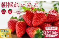 【先行予約/2026年】厳選いちご 2パック×5回発送 5回連続定期便 定期コース《2026年1月以降順次発送》 | 苺 イチゴ 大粒 いちご 檜山いちご園 いばらキッス ひたち姫 やよいひめ フルーツ 茨城県産 新鮮 朝採れ 糖度 酸味 品種 ひたち姫 甘い 濃厚 旬 採れたて 旬 産地 直送 フレッシュ ベリー 果肉 健康 果物 デザート 贈り物 食べ比べ 定期便 人気 茨城県 常陸太田市