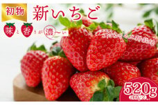 【先行予約/2026年】初物 厳選いちご(2パック×1箱) 《2025年12月での発送》| いちご 苺 イチゴ 檜山いちご園 香り 大粒  いばらキッス ひたち姫 やよいひめ 厳選 フルーツ 朝採れ 糖度 酸味 バランス 濃厚 甘い 果肉  健康 果物 デザート 贈り物 食べ比べ 旬 産地 直送 フレッシュ 新鮮 採れたて 人気 美味しい 甘い ベリー ブランド 茨城県 常陸太田市