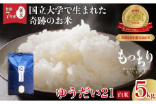 【先行予約 令和7年産 新米】食味コンクール最高賞 品評会を席巻した奇跡のお米 ゆうだい21 白米５kg | ゆうだい21 常陸の瞳  ブランド米 宇都宮大学 GAP認証 森 ミネラル 水 最高賞 品評会 安全 安心 美味しい 米 粘り もちもち 食感 希少品種 冷めても おいしい 茨城県 常陸太田市 