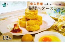 奥久慈卵と発酵バターのスコーン 12個セット 冷凍発送 ｜ スコーン バター 卵 人気 焼き菓子 おいしい サクサク しっとり クリーム アイス 紅茶 冷凍 アフタヌーンティー 牛乳 茨城県 常陸太田市