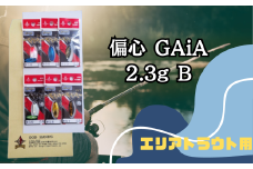 偏心GAiA 2.3g 6色セット B【茨城県 常陸太田市 スプーン 釣り ルアー フィッシング 釣り道具 釣り具 スプーンルアー 釣り ルアーセット 釣り用品 エリアトラウト】