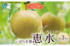 【先行予約 2025年】梨 恵水 約3kg 6玉～7玉 | 茨城県 常陸太田市 桧山果樹園 恵水 オリジナル 大きい みずみずしい 品種 梨 フルーツ 高級 産地直送 限定品 贈り物 新鮮 お取り寄せ デザート ギフト 風味豊か 大玉 香り 上品 希少価値 珍しい 地域 甘い 限定 果物 果樹
