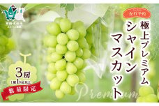 【先行予約 2025年】極上プレミアム シャインマスカット 3房入り 約3kg | 茨城県 常陸太田市 桧山果樹園 シャインマスカット ぶどう 産地直送 高級果物 お取り寄せ 新鮮 人気品種 デザート スイーツ 美味しい 風味豊か 糖度 有名品種 限定品 フルーツ ギフト 栄養豊富 豪華 高品質 ペアリング