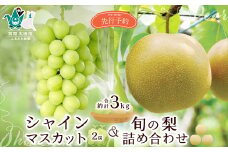 【先行予約 2025年】シャインマスカット2房と旬の梨詰め合わせ 計約3kg | 茨城県 常陸太田市 桧山果樹園 梨 なし ぶどう ブドウ シャインマスカット フルーツ 高級 産地直送 限定品 贈り物 新鮮 お取り寄せ デザート ギフト 風味豊か 香り 上品 希少価値 珍しい 地域 甘い 限定 果物 果樹