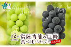 【先行予約 数量限定】【旬の時期発送】ぶどう食べ比べ 常陸青龍１房（常陸太田市オリジナル品種）＆巨峰１房 約800g【食べ比べ ぶどう 旬 季節 常陸太田オリジナル品種 果汁 酸味 甘味 バランス コク 味わい 冷蔵庫 デザート ぜいたく 種あり ファミリー 子ども 茨城県 常陸太田市】