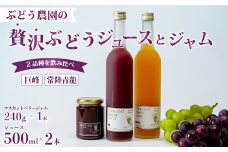 ぶどうジュース2本（巨峰・常陸青龍）＆旬ジャムセット | ジュース ぶどう 葡萄 ブドウ 100%ジュース フルーツ ぶどうジャム ブドウジャム ジャム 果汁100% 高級ジュース 贈答用 ギフト 贈り物 高級 希少品種 オリジナル品種 ドリンク 濃厚 美味しい 贅沢 飲み物 飲料 果汁 酸味 甘味 バランス コク 味わい 冷蔵庫 パン 朝食 ヨーグルト ファミリー 子ども 茨城県 常陸太田市