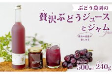 ぶどうジュース（巨峰）1本＆旬ジャムセット | ジュース ぶどう 葡萄 ブドウ 100%ジュース ブドウジュース フルーツ ぶどうジャム ブドウジャム ジャム 果汁100% 高級ジュース 果肉 贈答用 ギフト 贈り物 高級 ドリンク 濃厚 美味しい 贅沢 飲み物 飲料 果汁 酸味 甘味 バランス コク 味わい 冷蔵庫 パン 朝食 ヨーグルト ファミリー 子ども 茨城県 常陸太田市