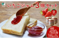 手作り苺ジャム ～いちご農家さんからの直送品～ | 茨城県 常陸太田市 いちご 苺 完熟いちご 果肉 フルーツ ジャム ホームメイド 手作り 自家製 おすすめ おいしい 甘い パン ヨーグルト 朝食 おやつ トッピング 人気 お取り寄せ プレゼント ギフト 贈答品