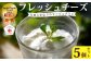 新鮮な生乳を使用しチーズ工房で一つ一つ手作りしたフロマージュブラン５個セット