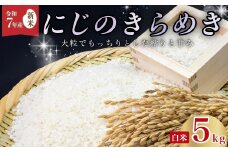 【先行予約 令和7年産 新米 】にじのきらめき 精米 5kg | 米 白米 新米 お米 ご飯 にじのきらめき 森 ミネラル 水 山田川 安全 安心 美味しい 米 人気 自然栽培 つやつや 茨城県 常陸太田市 