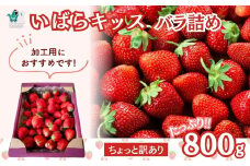 【2026年 先行予約】訳あり苺 いばらキッス たっぷり800g いちご バラ詰め 加工用 | イチゴ いちご 苺 ちょっと訳あり 香り フルーツ 新鮮 朝採れ 果肉 甘味 品質 健康 果物 デザート 食べ比べ 人気 自宅用 加工用 製菓用 いばらキッス 茨城県 常陸太田 檜山いちご園 