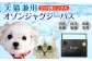 犬猫犬用オゾンジャグジーバス2ヶ月レンタルサービス