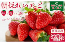 【2026年 先行予約】【いちご3種 食べ比べ】 いちご2パック×1箱  |  苺 イチゴ いちご  香り 大粒 いばらキッス ひたち姫 やよいひめ 厳選 フルーツ 新鮮 朝採れ 採れたて フレッシュ 旬 鮮度 甘い 美味しい 糖度 酸味 バランス 果肉 健康 果物 ブランド デザート 贈り物 食べ比べ 人気 リピート おすすめ 檜山いちご園 茨城県 常陸太田市