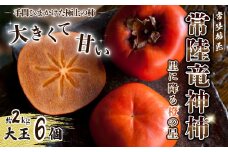 【先行予約・10月下旬以降発送】高級ブランド柿 『常陸竜神柿』 大玉6個入×1箱 約2kg ｜  樹上熟柿 柿 パリパリ 食感常陸太田 柿 大核無 種なし アルコール 甘い 日持ち 果物 秋 四角梨 樹上熟 珍しい 貴重 ぱりぱり サクサク ブランド柿 旬 デザート 日本 渋柿