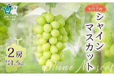 【先行予約 2025年】シャインマスカット2房 約1.5kg | 桧山果樹園 シャインマスカット ぶどう 産地直送 高級果物 お取り寄せ 新鮮 人気品種 デザート スイーツ 美味しい 風味豊か 糖度 有名品種 限定品 フルーツ ギフト 栄養豊富 豪華 高品質 ペアリング 茨城県 常陸太田市