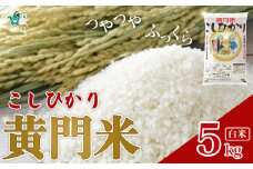 【令和7年産】通常便 1回 黄門米 コシヒカリ 白米 5kg | コシヒカリ こしひかり 5kg 5キロ 米 こめ コメ お米 白米 精米 お取り寄せ 贈答 人気 ランキング ごはん 贈り物 5キロ 風味 甘い 米どころ ブランド米 黄門米 水戸黄門 人気米 茨城県産 常陸太田市 タツミ米穀