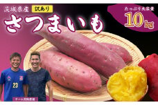 【先行予約】【訳あり】さつまいも 10kg｜いも スイーツ 野菜 ダイエット 小分け 国産 茨城県産 さつまいも サツマイモ お芋 おやつ 干し芋 焼き芋 紅はるか シルクスイート ねっとり 甘い 完熟 熟成 高評価 多数 蜜いも 秋の味覚 品種お任せ 訳あり 家庭用 サイズ不均一 小さめ キズ スレ 期間限定 高糖度 芋 焼き芋 ふぞろい 訳アリ 大容量 茨城県 常陸太田市