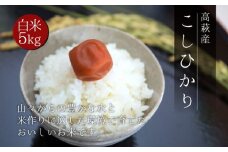 【令和6年度産】高萩市産 コシヒカリ 5kg 米 こしひかり こめ コメ  ごはん ご飯 お米 おこめ 精米 白米 茨城県 高萩市