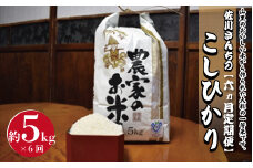【6ヶ月定期便】佐川さんちのこしひかり米　5Kg