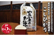 【3ヶ月定期便】佐川さんちのこしひかり米　5Kg