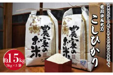 佐川さんちのこしひかり米 15Kg【令和6年度産】